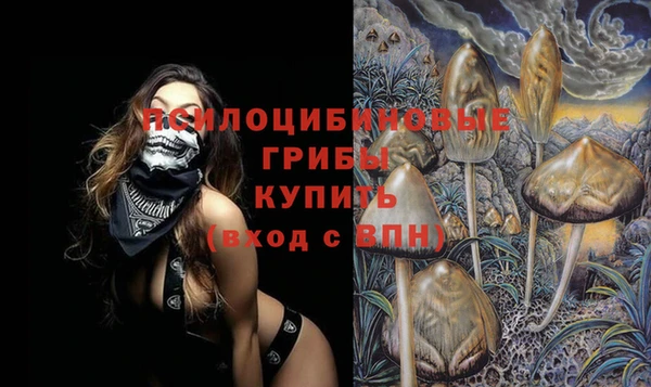 2c-b Верхний Тагил