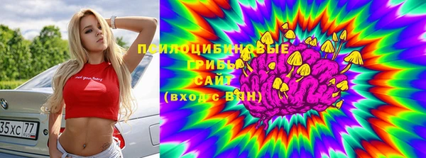 спиды Верея