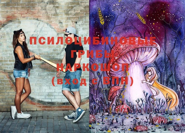 спиды Верея