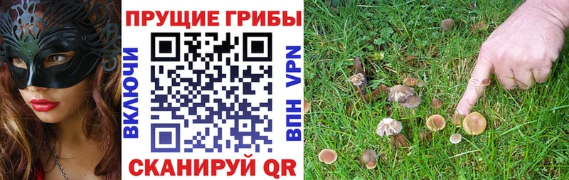 цена наркотик  Воткинск  Псилоцибиновые грибы Psilocybe 