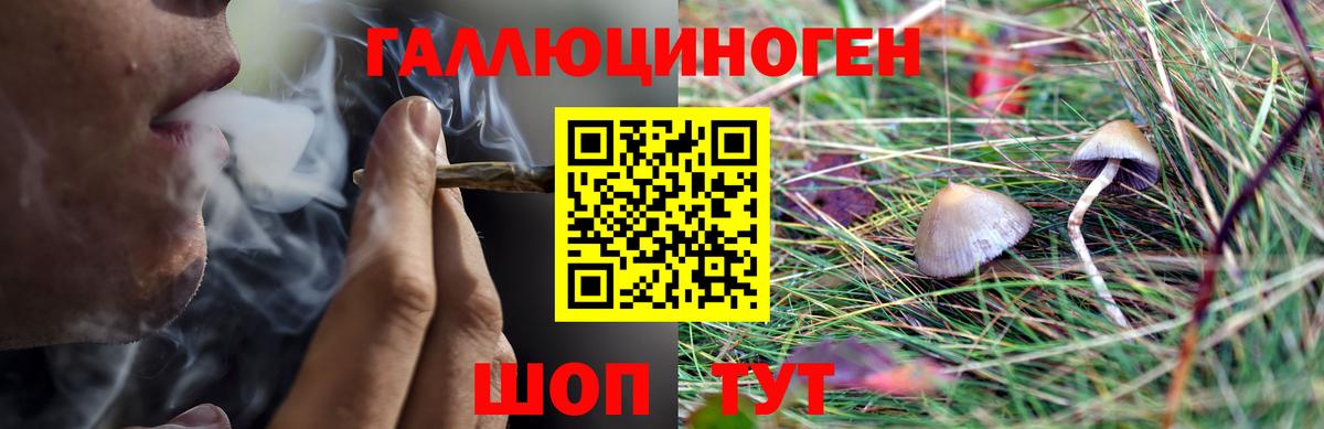 Псилоцибиновые грибы прущие грибы Воткинск